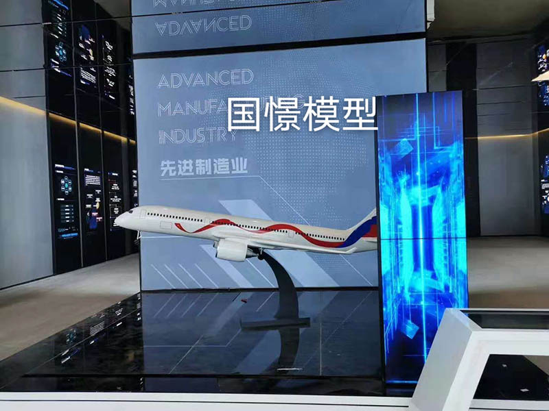 桦南县飞机模型