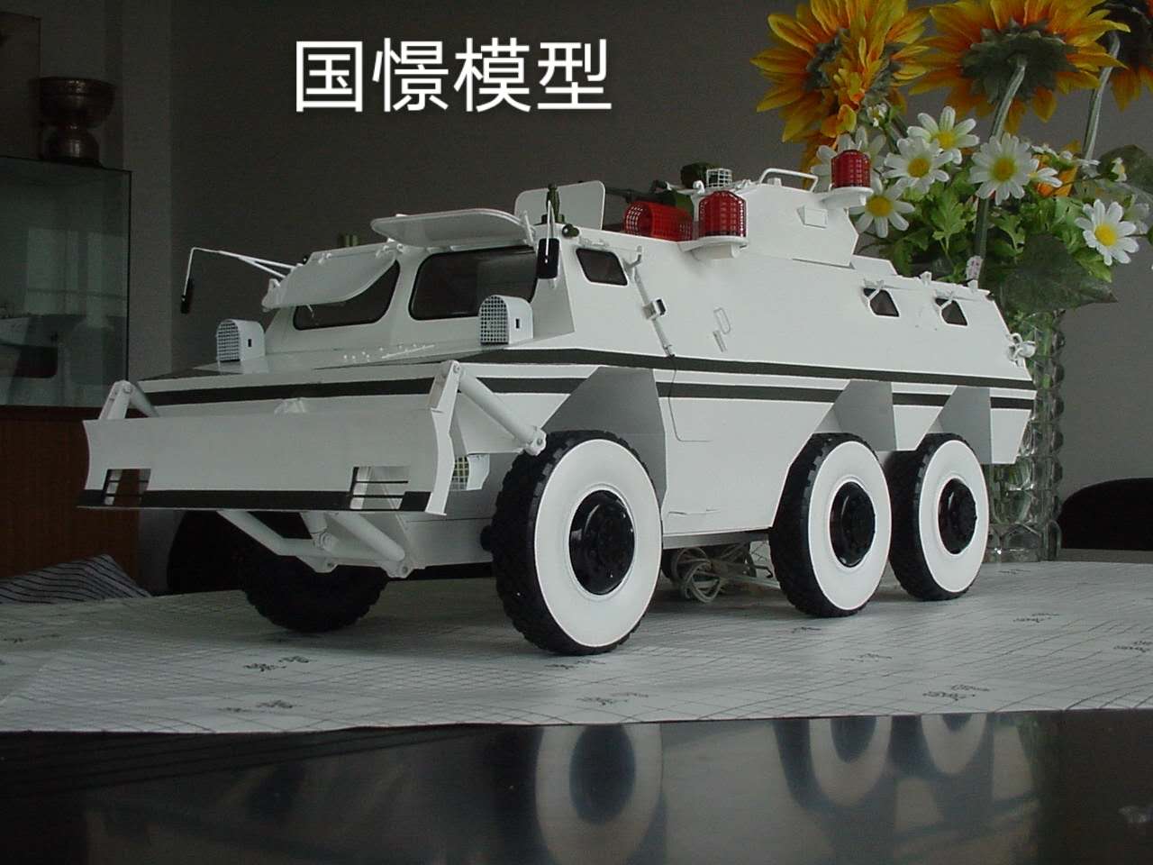 桦南县军事模型