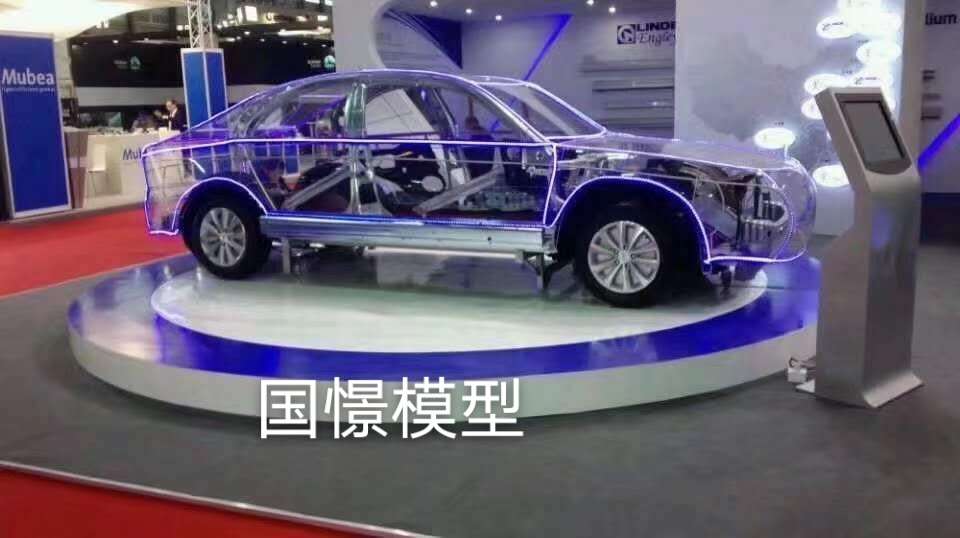 桦南县透明车模型