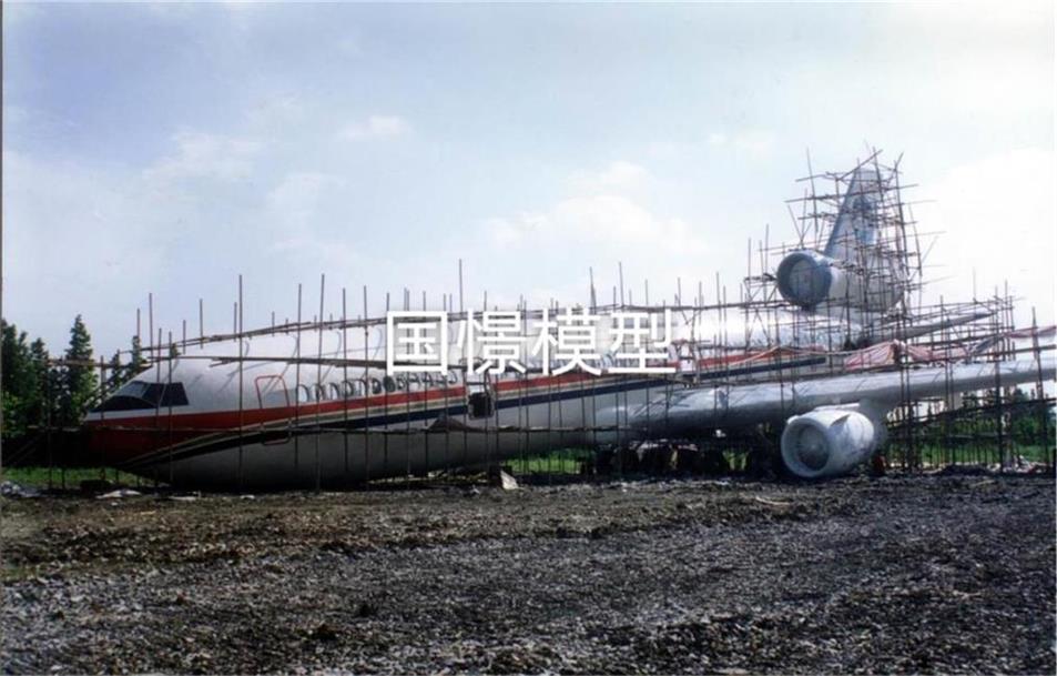 桦南县飞机模型